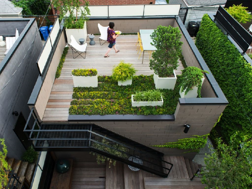 Roof garden ideas