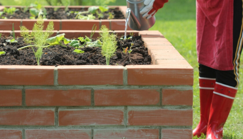 Build a Raised Garden Bed with Bricks