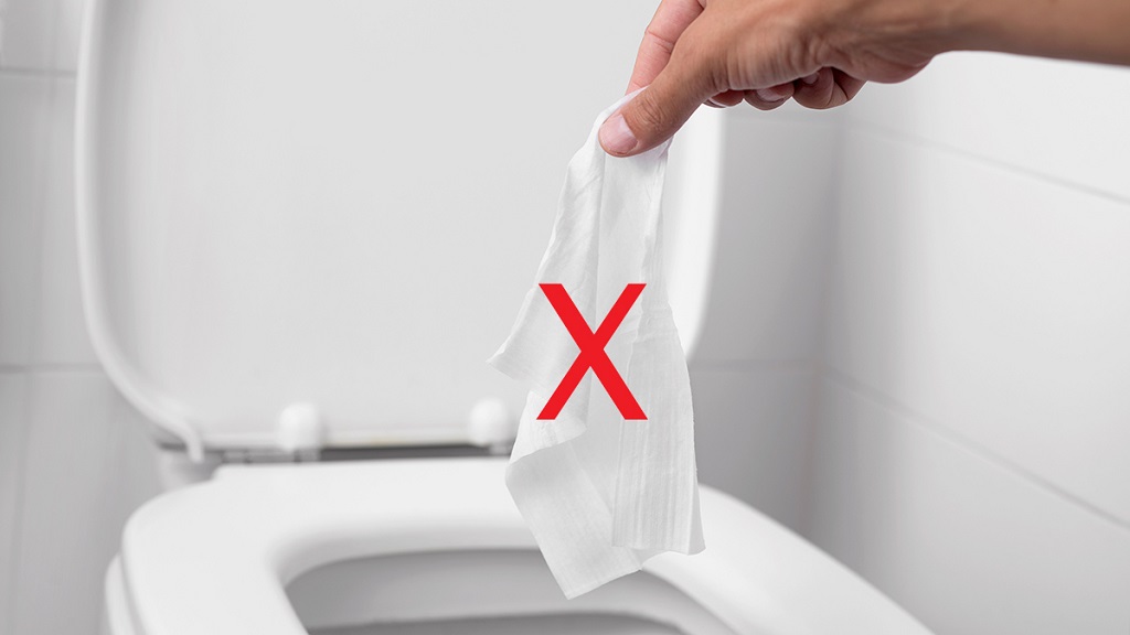 How Can You Prevent Toilet Blockages?