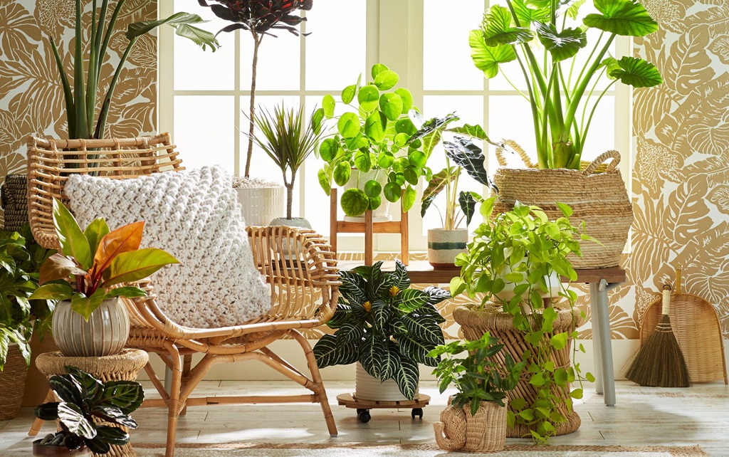 Gardening Indoors for living space