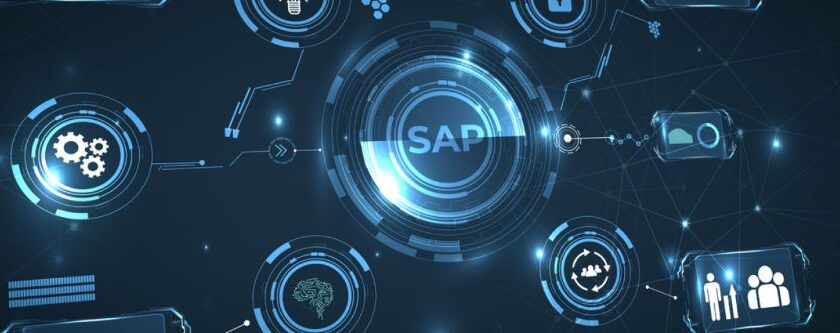 What is the SAP ecosystem