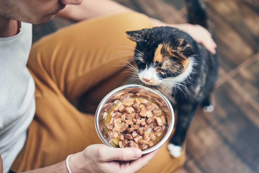 Understanding the Role of Taurine in Homemade Cat Food