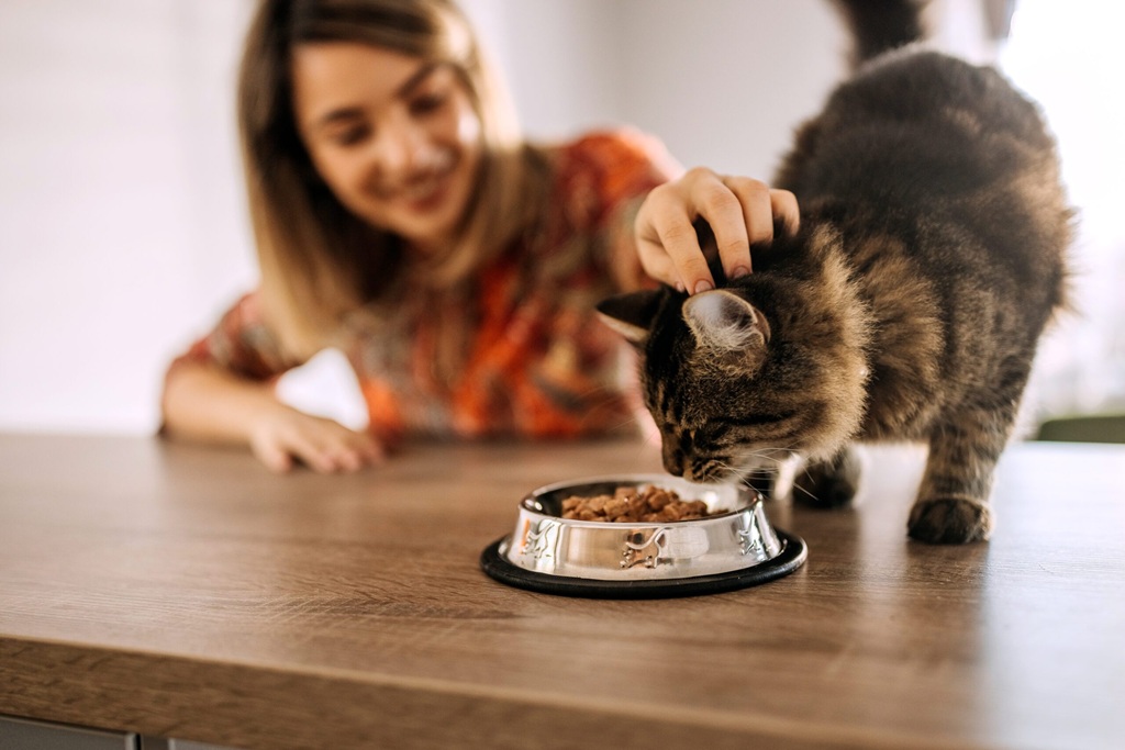 Illustration of High Taurine Cat Food For Liver Health